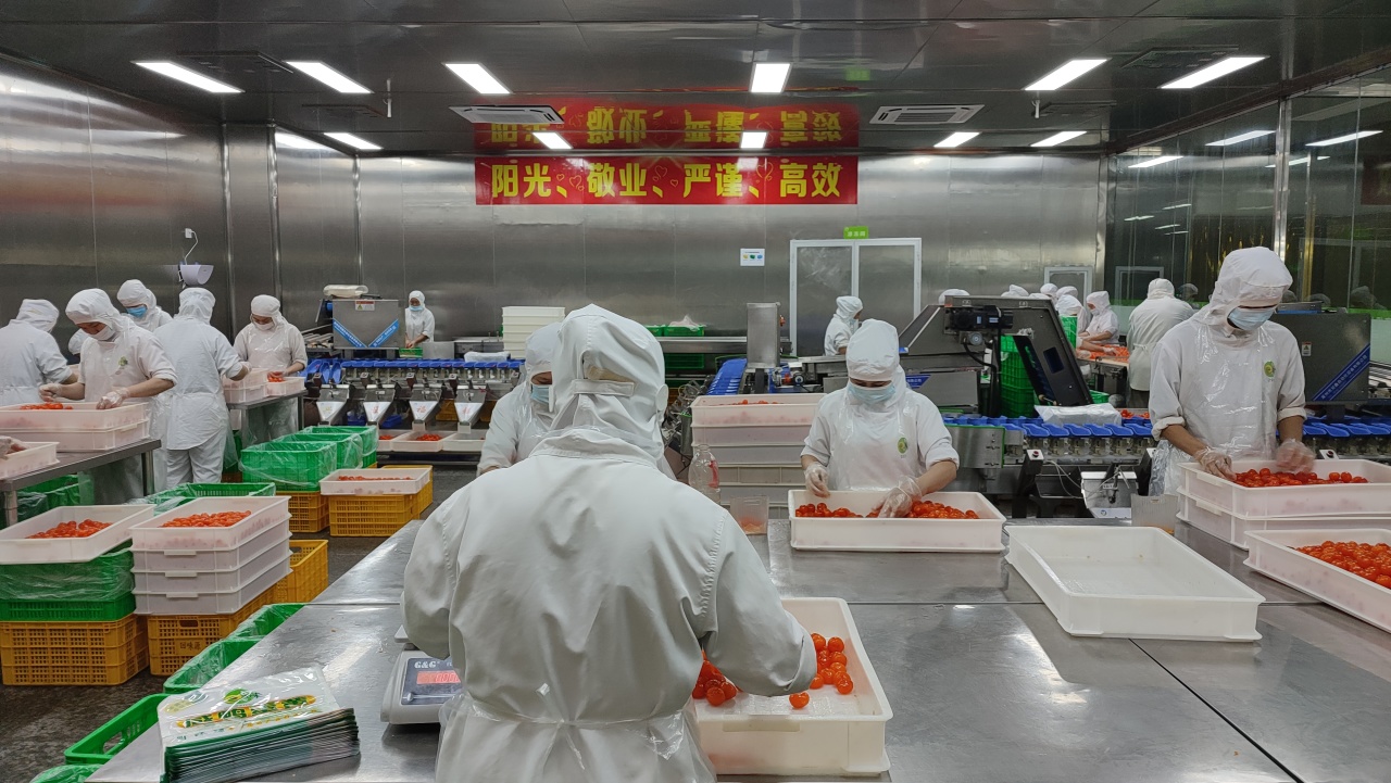 回味源高端定制咸蛋黃：2024中秋旺季的復盤總結，請查收！(圖4)
