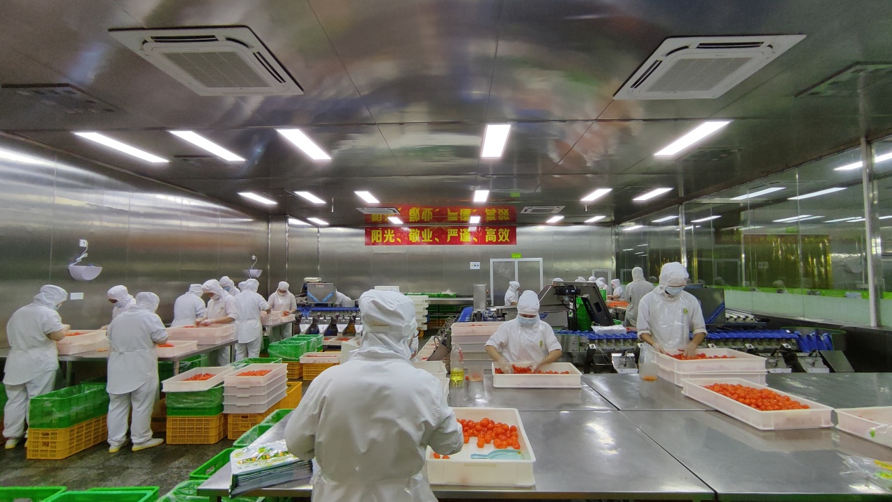 回味源高端定制咸蛋黃：2024年終總結報告，請查收！(圖1)