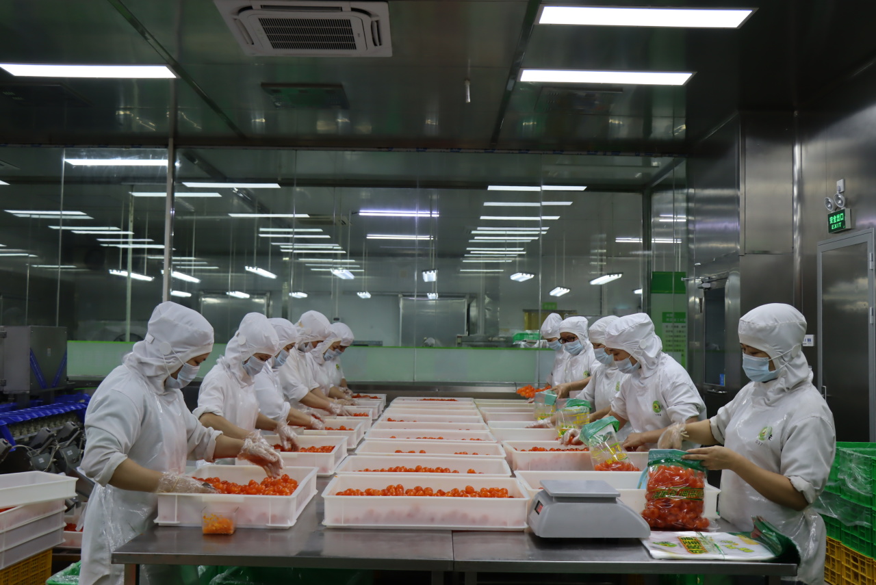 回味源高端定制咸蛋黃：中秋打樣正當時，鎖定好蛋黃，搶占市場先機！(圖6)